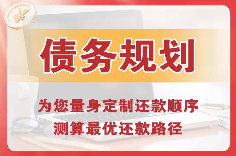 楚雄债务规划